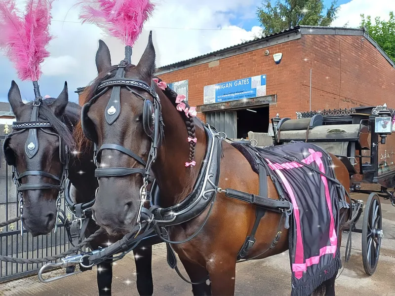 horse carraige for funeral service